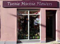 Tussie Mussie Flowers 286958 Image 2